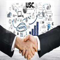 صورة الفئة الفرعية