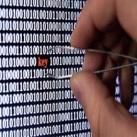 صورة الفئة الفرعية